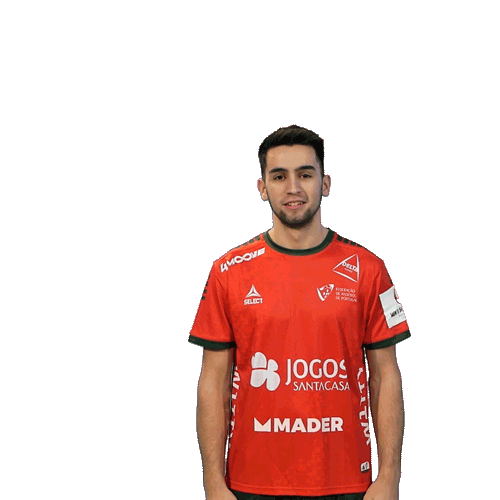 Letsgovamos Sticker by Federação de Andebol de Portugal