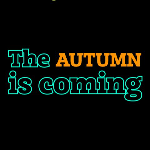 ZaitoonVibes gift autumn buy now clothes GIF