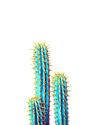 Plant Cactus Sticker by Sebastián Yatra
