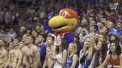 Kansas Basketball Jayhawks GIF by Kansas Athletics