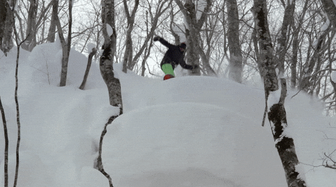 GIF by Red Bull