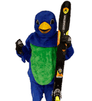 Angry Bird Sticker by Snowbird