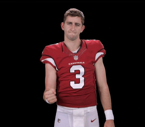 Arizona Cardinals Yes GIF by NFL