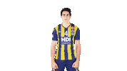 Ahmetcan Sticker by Fenerbahçe Voleybol