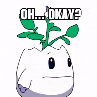 Eyes Wtf GIF by Magic Eden