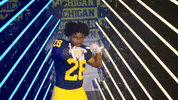 Go Blue Michigan Football GIF by Michigan Athletics