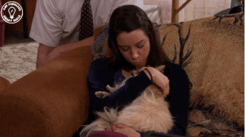 parks and recreation lol GIF by Amy Poehler's Smart Girls