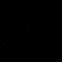 TheBeardStruggle brand beard viking tbs GIF