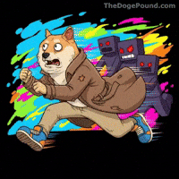Get Out Omg GIF by Doge Pound