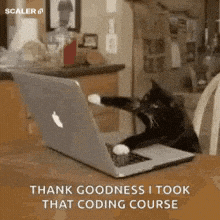asudeasar giphyupload GIF