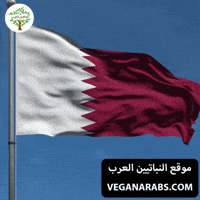 Qatar Flag GIF by VeganArabs