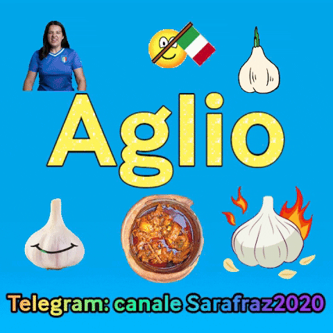 sarafraz19gmailcom giphygifmaker giphyattribution GIF