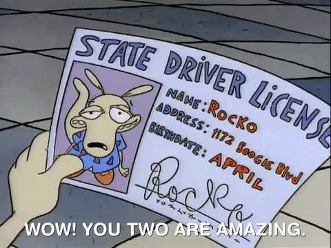 rockos modern life nicksplat GIF