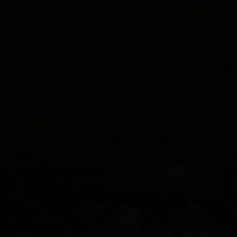 War Cat GIF by sillynub