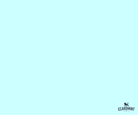 ecardmint happy funny cat cute GIF