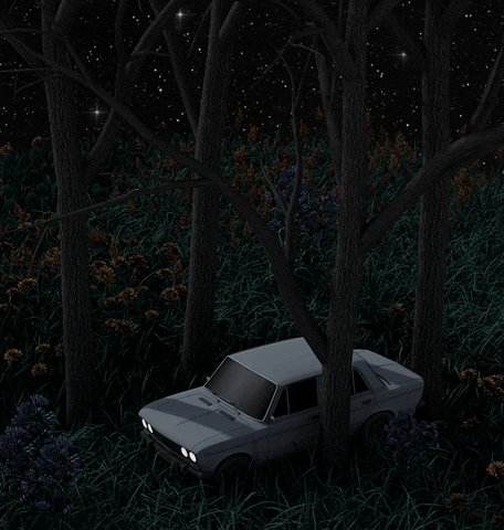 sashakatz sasha katz GIF