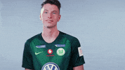 fifa 18 football GIF by VfL Wolfsburg