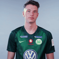 fifa 18 football GIF by VfL Wolfsburg