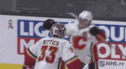 Happy Ice Hockey GIF by NHL