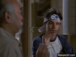 flies GIF