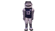 Mascot Shark Sticker by Steelsharks