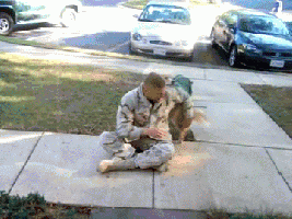 imo GIF