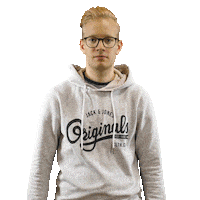 lichterwald julian friedl lichterwald julian friedl Sticker