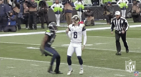 seattle seahawks football GIF by NFL