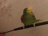 punch fighting GIF by Barstool Sports