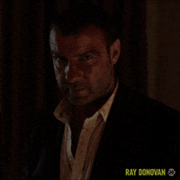 Episode 7 Showtime GIF by Ray Donovan
