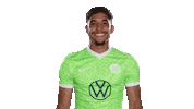 Football Joking Sticker by VfL Wolfsburg
