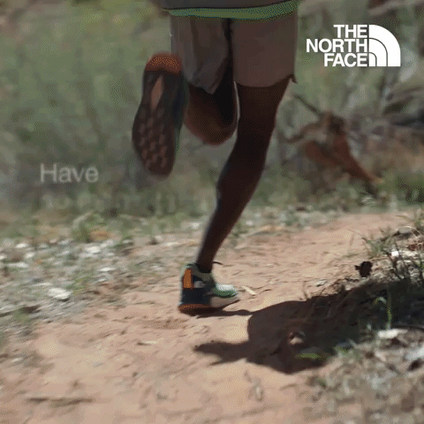 Have You Ever - The North Face
