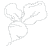 Beet Grow Sticker by adis