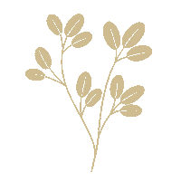Flower Leaves Sticker