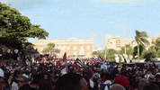news puerto rico bad bunny protests residente GIF