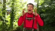 Scream Funny Reaction GIF by The Wiggles