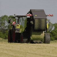 Cow Grass GIF by CLAAS