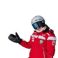 scuolasciselva selva skischule skischool sciare Sticker