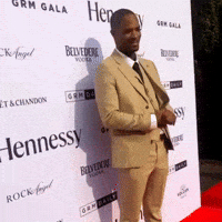 Red Carpet Rap GIF by Nolay Gifs
