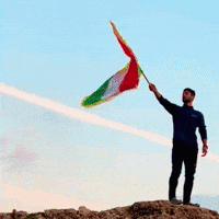 Flag Al GIF