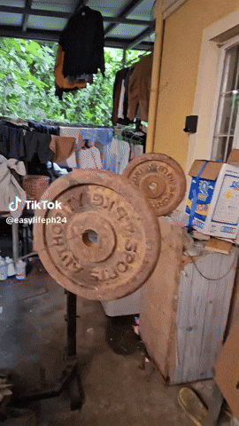 geeon giphyupload GIF