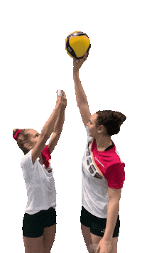 Sticker by Volleyball Academy