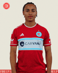 Happy Chicago Fire GIF by Chicago Fire Football Club