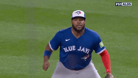 Blue Jays Baseball GIF by MLB