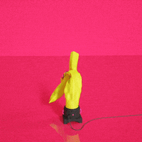 Hands Up Animation GIF by Bate