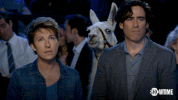 david crane comedy GIF by Showtime