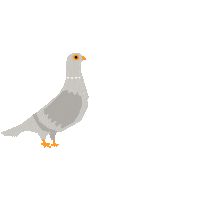 Bird Pigeon Sticker by Redmatters