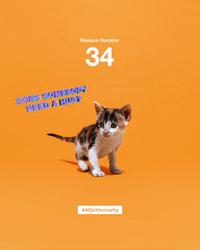 best friends hug GIF by Best Friends Animal Society