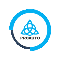 Protecao Sticker by PROAUTO