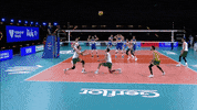Save Luke Perry GIF by Volleyball World
